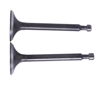 Клапани, к-т: 2 шт. - 168F - TTG