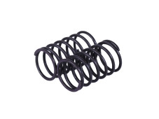 Пружини клапанів, к-т: 2 шт. - P70F (ZS)