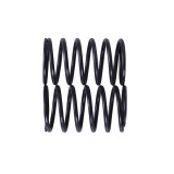 Пружини клапанів, к-т: 2 шт. - P70F (ZS)