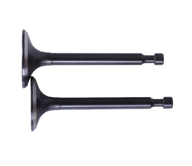 Клапани, к-т 2 шт. - P70F (ZS)