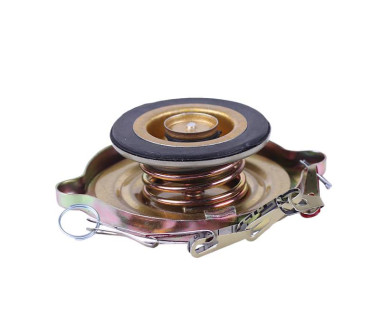 Кришка радіатора - 190N - TTG