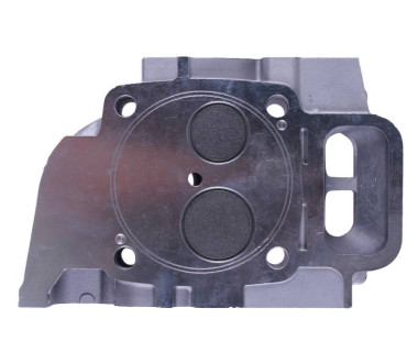 Головка блоку в зборі Zubr (під 3 болти) - 186F - TTG