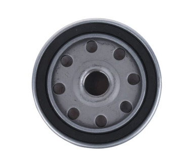 Фільтр грубої очистки палива WBF1235/1119G030/T641010 LOVOL, Foton