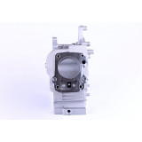 Блок двигуна TT-AGRO-MOTO на бензиновий двигун 156F генератора GN 1,2 KW
