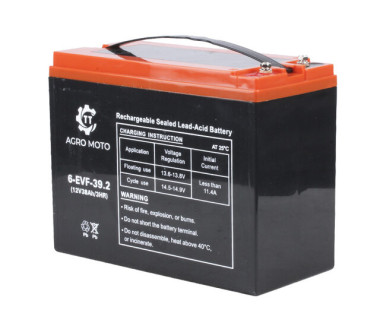 Акумулятор свинцево-кислотний TT 38AH 12V 223х105х174 мм