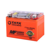 Акумулятор гелевий TT AGRO MOTO YTX4L-BS 4АH, 113×70×85 мм на інверторний генератор, помаранчевий, з дисплеєм