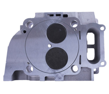 Головка блоку в зборі (ліва) - 2V192/195F