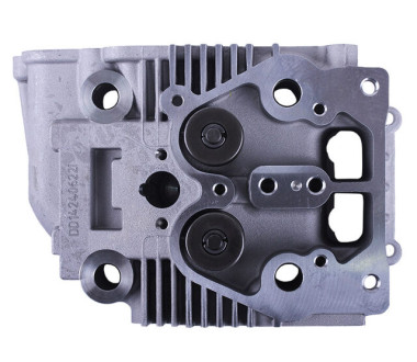 Головка блоку в зборі (ліва) - 2V192/195F