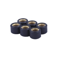 Ролики варіатора 9g, к-т: 6 шт. - Lead 90 YBX