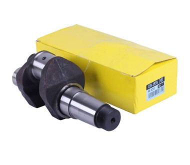 Коленвал голый GZ (резьба М12) - 195N YBX