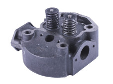 Головка цилиндра в сборе (на мототрактор) - 195N - TTG