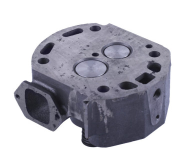 Головка циліндра в зборі (на мототрактор) – 195N – TTG