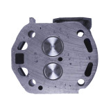 Головка циліндра в зборі (на мототрактор) – 195N – TTG