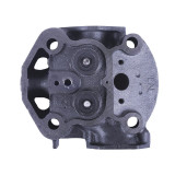 Головка циліндра в зборі (на мототрактор) – 195N – TTG