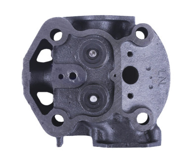 Головка циліндра в зборі (на мототрактор) – 195N – TTG