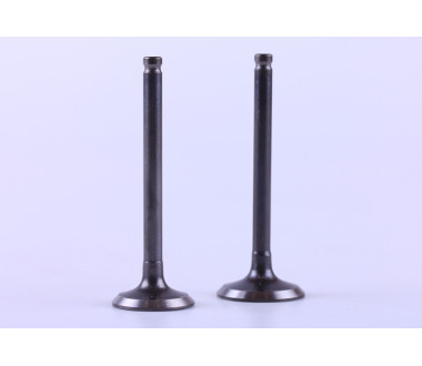 Клапаны, к-т 2 шт. - 125CC