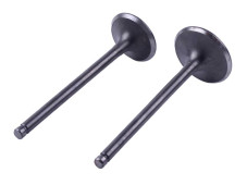 Клапани, к-т: 2 шт. - ZUBR