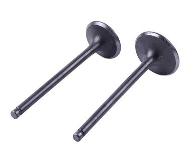 Клапани, к-т: 2 шт. - ZUBR