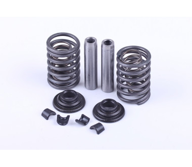 Клапанный механизм, к-т на 2 клапана: 10 элементов - 190N