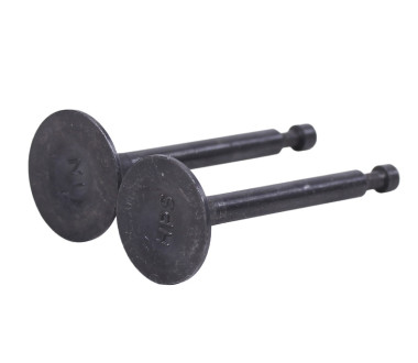 Клапани, к-т: 2 шт. - 168F Y-BOX