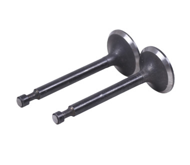 Клапани, к-т: 2 шт. - 168F Y-BOX