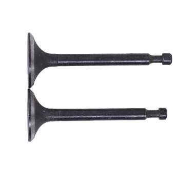 Клапани, к-т: 2 шт. - 168F Y-BOX