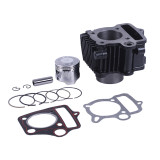 Поршнева (ЦПГ) 47 мм, к-т: 12 одиниць - 72СС - Дельта/Альфа - TTG