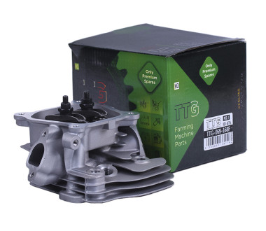 Головка блоку в зборі - 168F - TTG