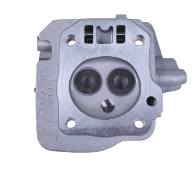 Головка блоку в зборі - 168F - TTG