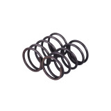 Пружини клапанів, к-т: 2 шт. - P65F (ZS)