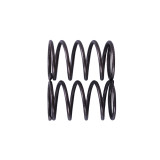Пружини клапанів, к-т: 2 шт. - P65F (ZS)