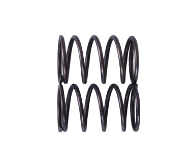 Пружини клапанів, к-т: 2 шт. - P65F (ZS)