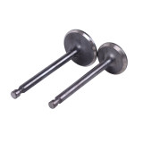 Клапани, к-т: 2 шт. тип 2 - 178F