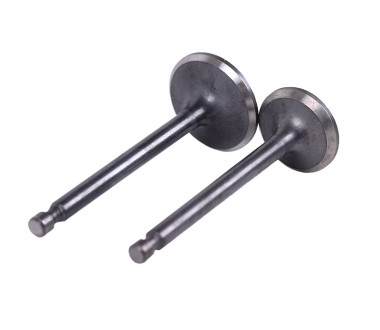 Клапани, к-т: 2 шт. тип 2 - 178F