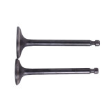 Клапани, к-т: 2 шт. тип 2 - 178F