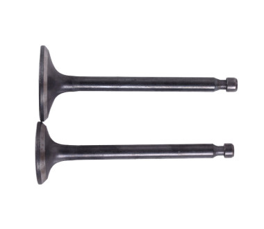 Клапани, к-т: 2 шт. тип 2 - 178F