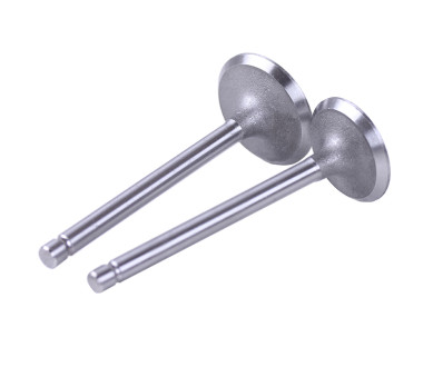 Клапани, к-т 2шт. - 188D