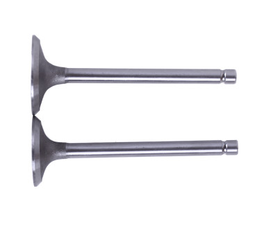 Клапани, к-т 2шт. - 188D