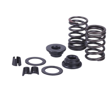 Клапанний механізм комплект (пружини, тарілки, сухарі) на 2 кл. - 188D