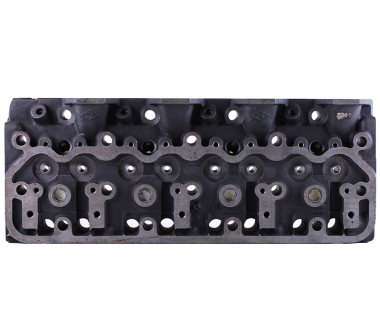 Головка блоку циліндрів JD495