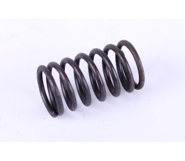 Пружина клапана наружная DLH1100