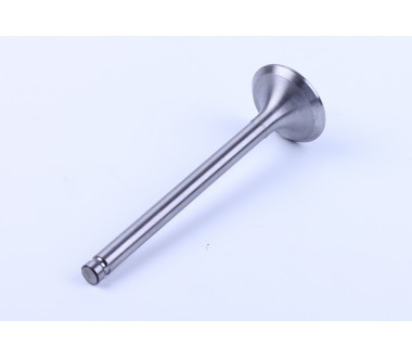 Клапан впускний DL190-12 Xingtai 120