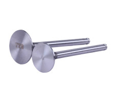 Клапани, к-т: 2 шт. - 190N - TTG