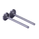 Клапани, к-т: 2 шт. - 190N - TTG