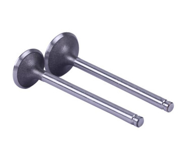 Клапани, к-т: 2 шт. - 190N - TTG