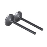 Клапани TT AGRO MOTO на бензиновий двигун 194F, к-т: 2 шт.