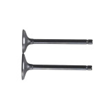 Клапани TT AGRO MOTO на бензиновий двигун 194F, к-т: 2 шт.