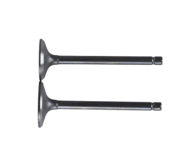Клапани TT AGRO MOTO на бензиновий двигун 194F, к-т: 2 шт.