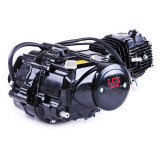 Двигун 110CC - Дельта/Альфа/Актив, механіка + карбюратор - без електростартеру, BLACK - TATA LUX