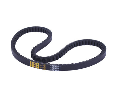 Ремінь TT AGRO MOTO 17×963L на бензинові двигуни 168F/170F, L-500 мм×2